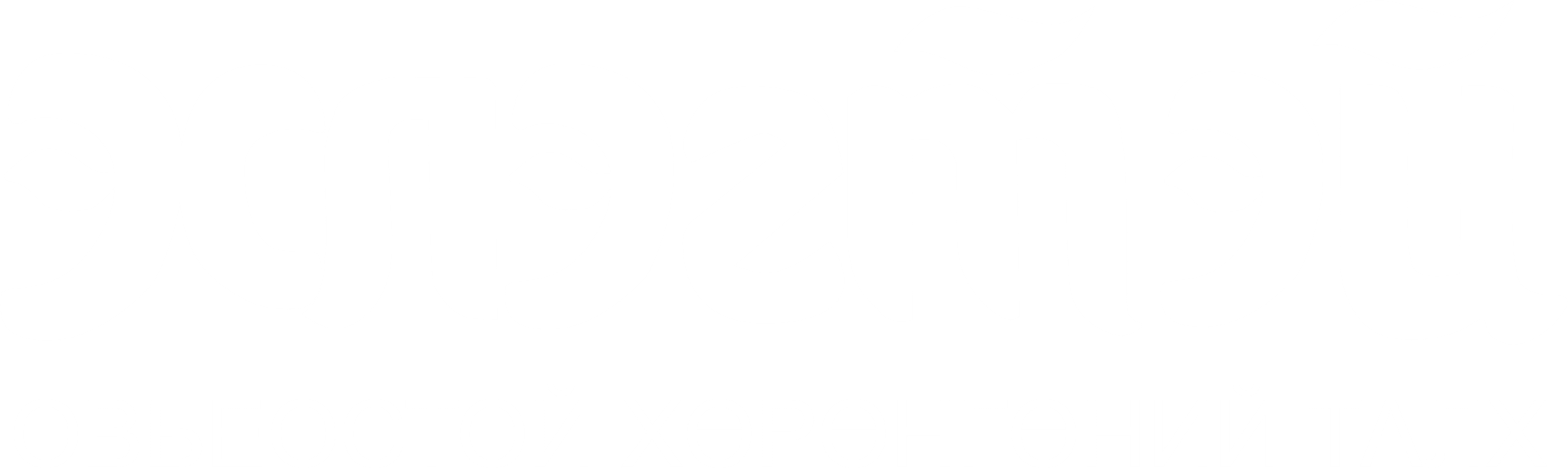 Logo 5