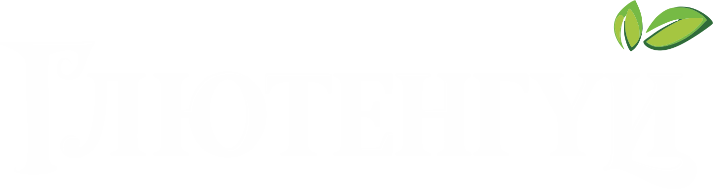 Logo 6